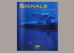 Signals Magazine Issue 31