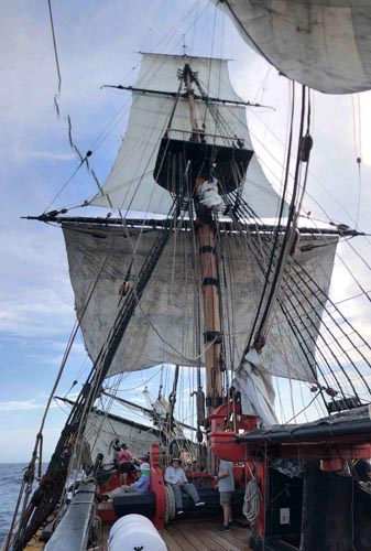 Four sails aloft. Image: Bill Ellemor. 