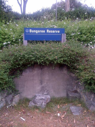 Bungaree Reserve, New South Head Road, Rose Bay. Photo courtesy Adam Joseph. 