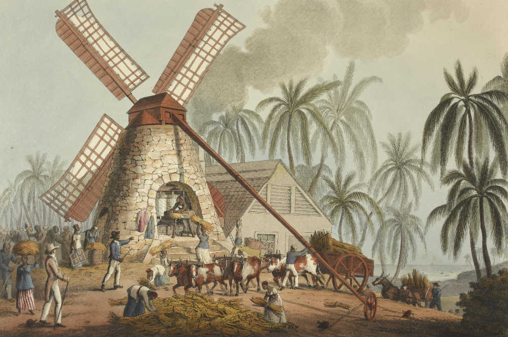 A highly sanitised view of life on a British sugar plantation, from Ten views in the island of Antigua, William Clark, London, 1823. © 2010 The British Library Board