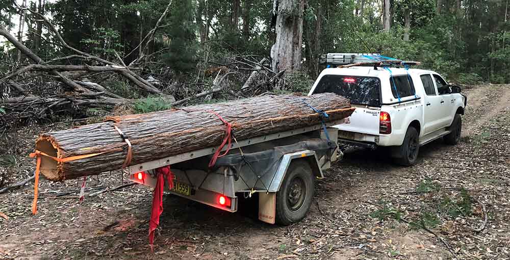 The bark rolled up for transport. Photo: David Payne.