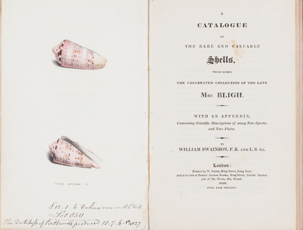 Opening pages of A catalogue of the rare and valuable shells which formed the celebrated collection of the late Mrs Bligh