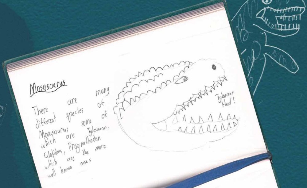 Kia'zen's notes about the Mosaurus