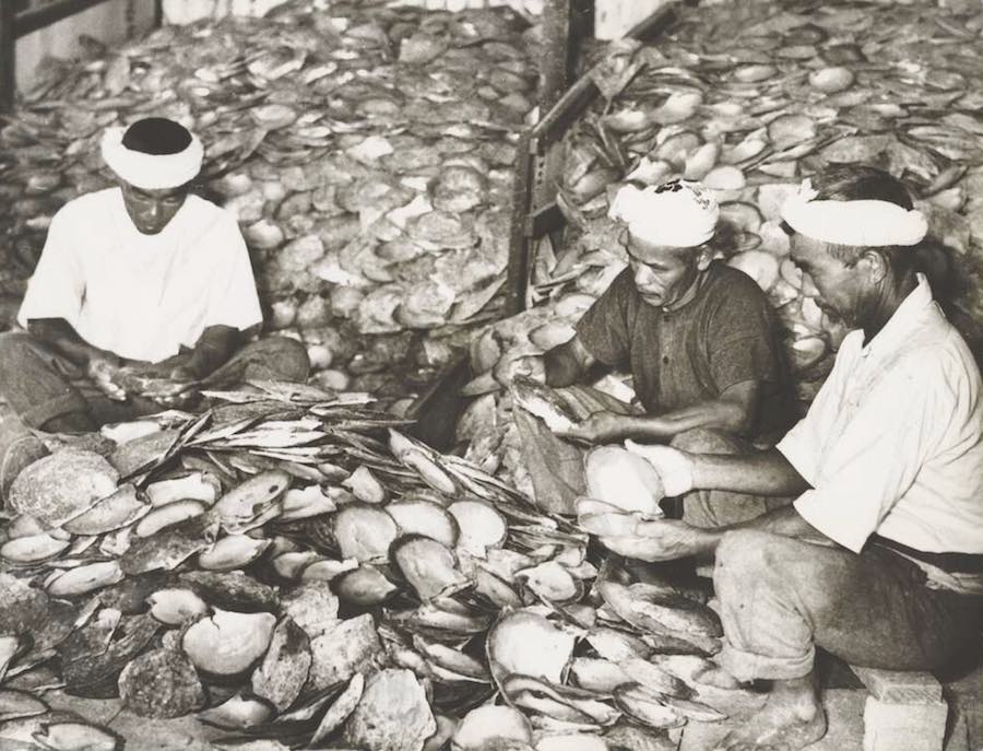 Grading and sorting mother- of-pearl shell in Broome, Western Australia, c 1953. Photographer Frank Hurley. Reproduced courtesy National Library of Australia
