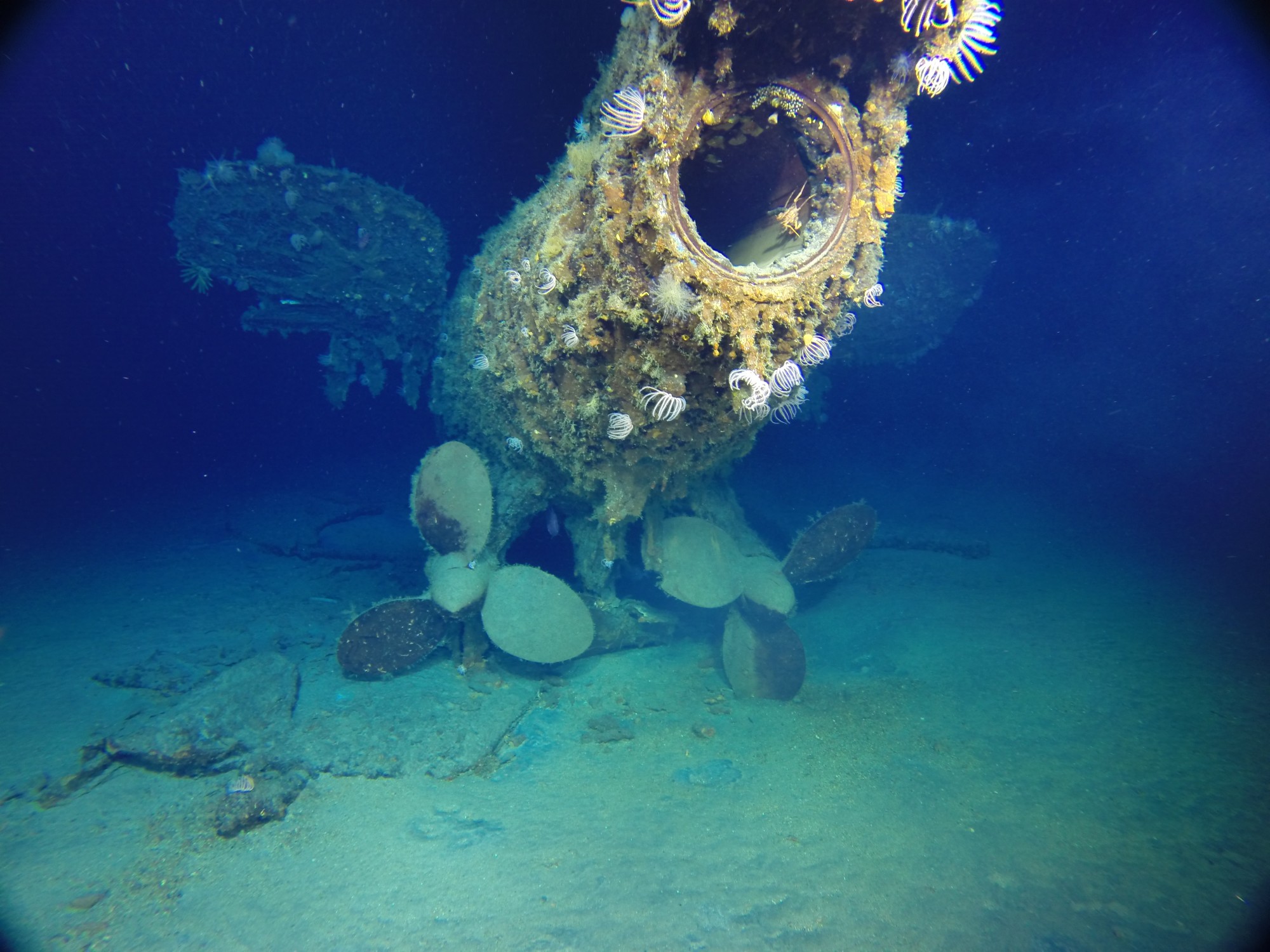 AE1’s disarticulated skeg and rudder lay on the seabed beneath the submarine’s port propeller. Image: Paul G. Allen, Find AE1 Ltd., ANMM and Curtin University. Copyright, Navigea Ltd. 