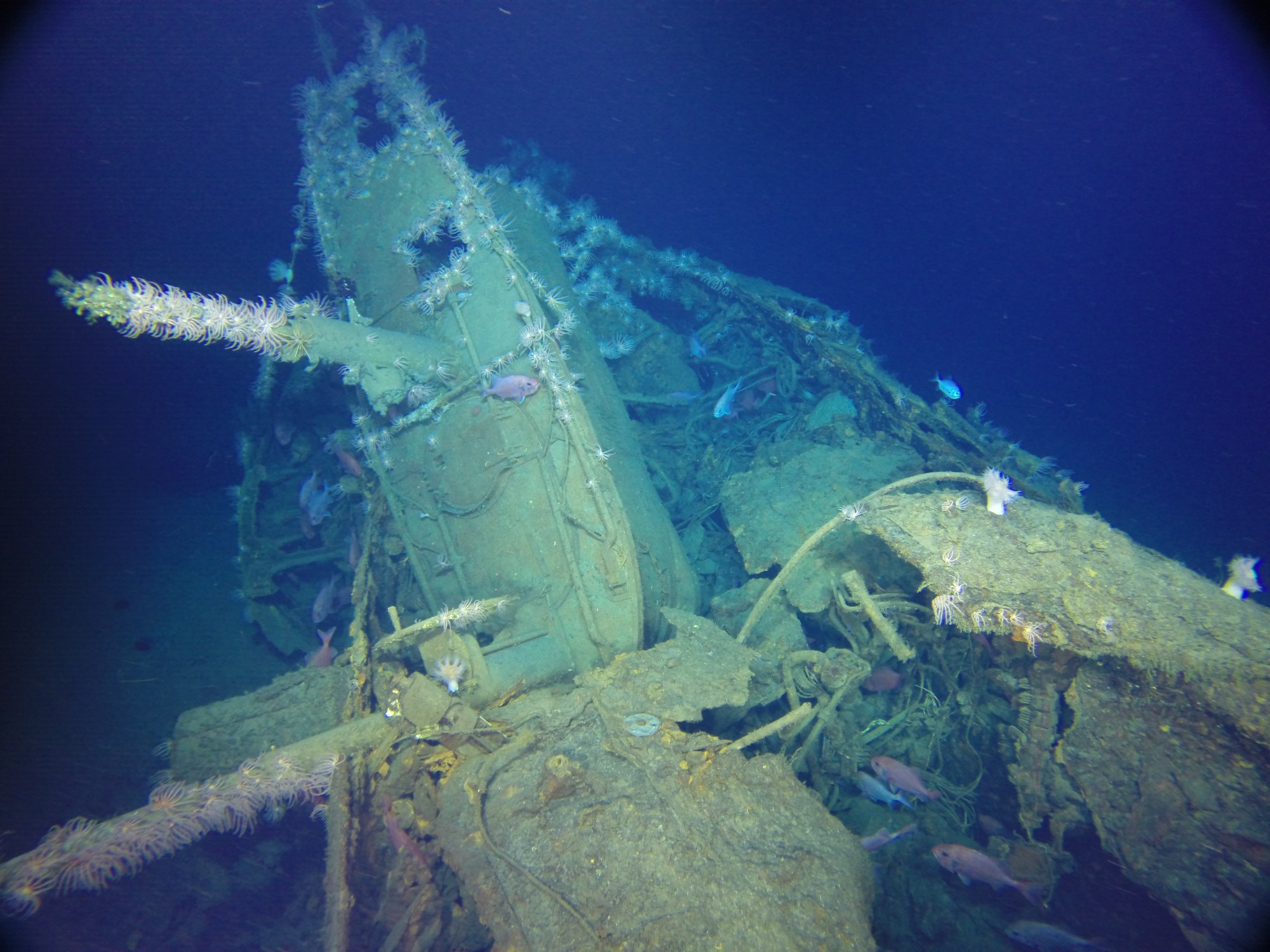 Implosion of AE1’s forward hull has caused the fin to collapse into the remains of the submarine’s Control Room. Image: Paul G. Allen, Find AE1 Ltd., ANMM and Curtin University. Copyright, Navigea Ltd.