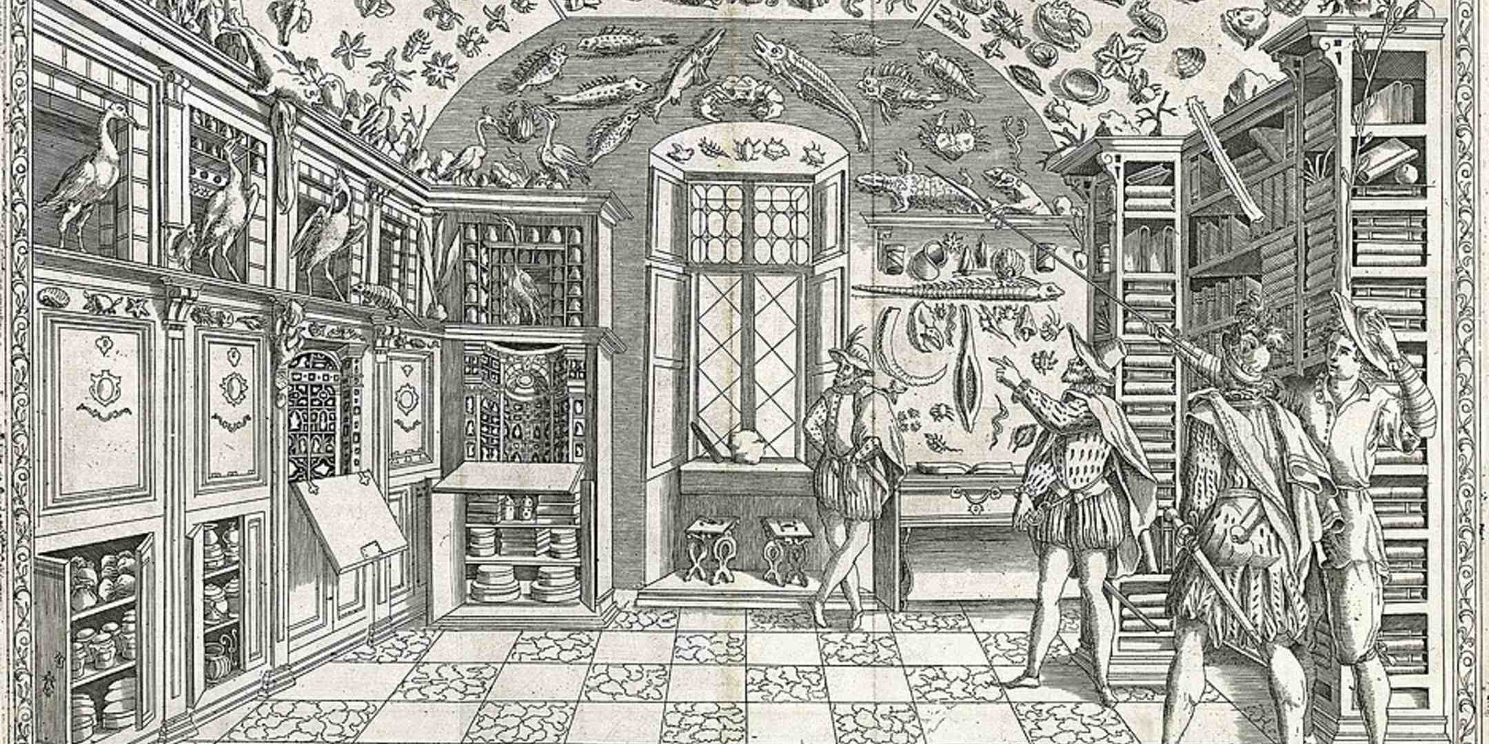 Fold-out engraving from Ferrante Imperato's Dell'Historia Naturale (Naples 1599), the earliest illustration of a natural history cabinet. Source: Wikimedia