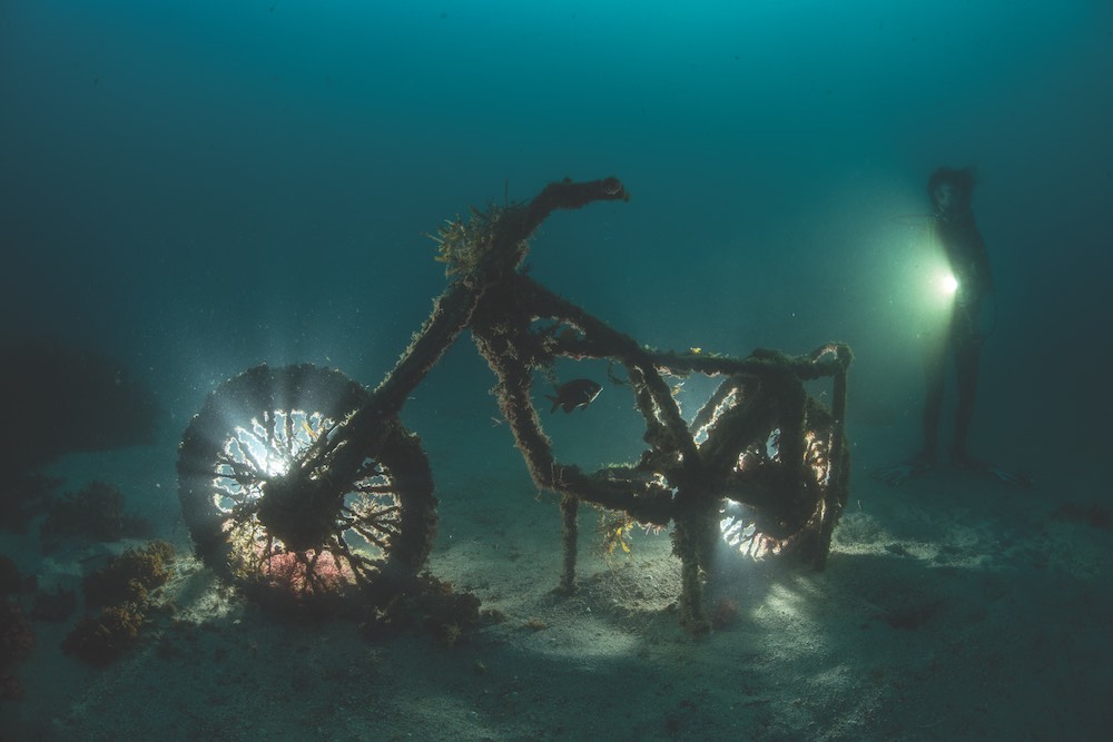 A discarded motorbike transforms from trash to treasure by creating habitat for small fish and invertebrate growth in the Cabbage Tree Bay Aquatic Reserve off Manly