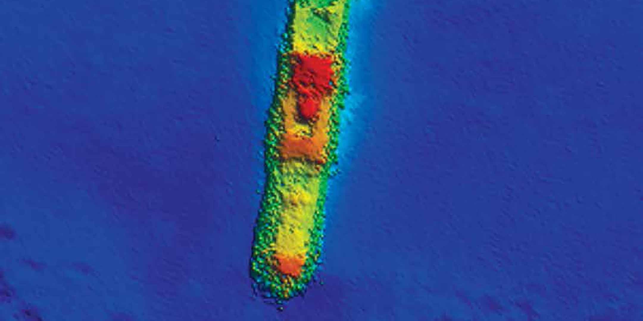 Multi-beam echo	sounder	image of SS Macumba. Image: CSIRO/Marine National Facility.