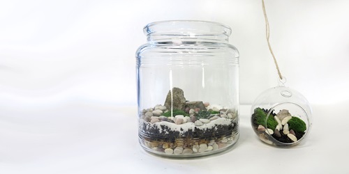 miniature garden terrarium