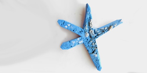 How to make a thong starfish