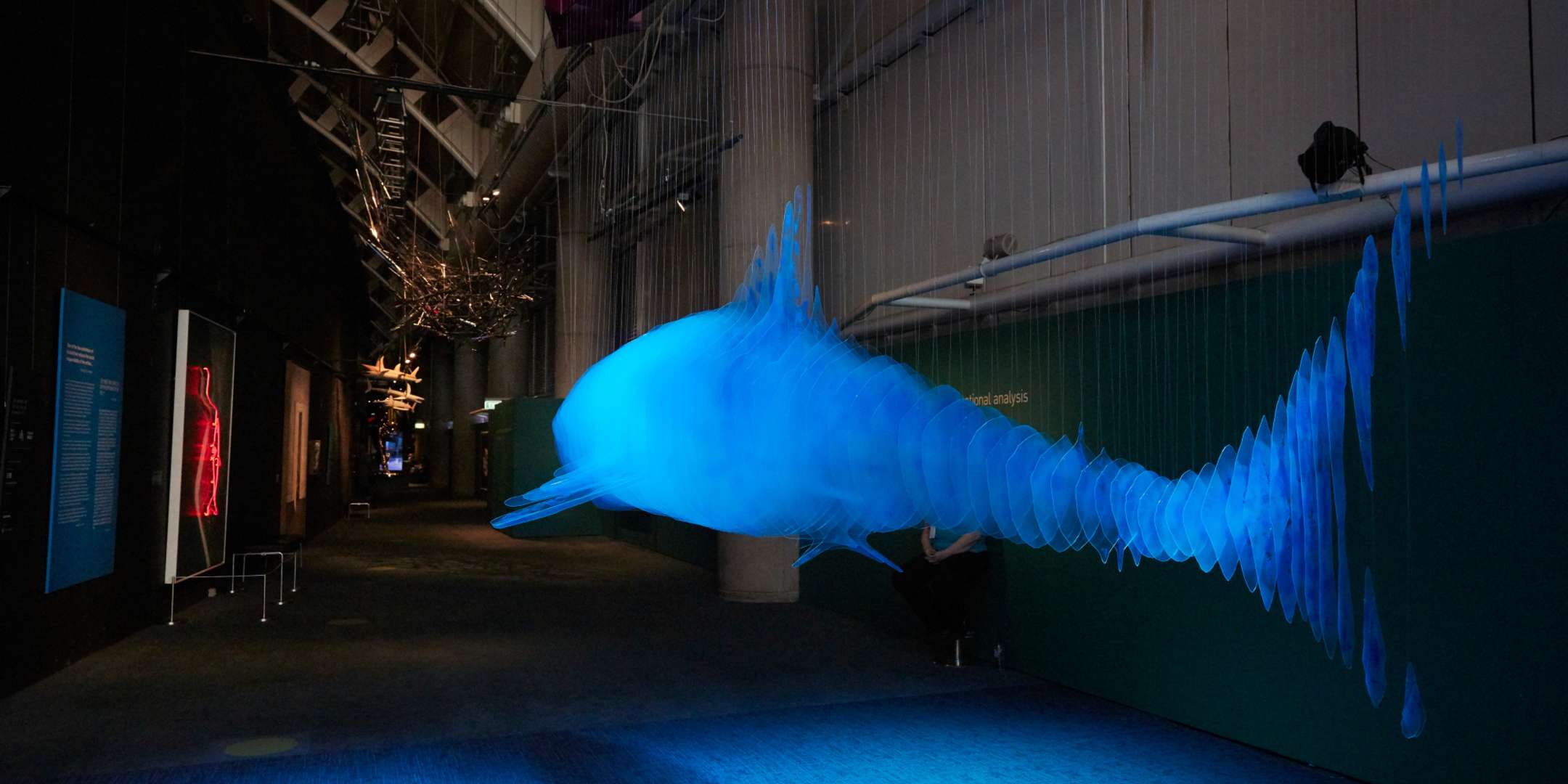 On Sharks and Humanity exhibition, 2018-19