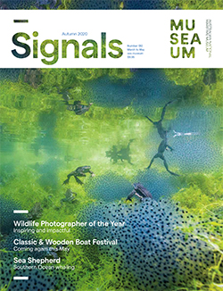 Signals Magazine Issue 130