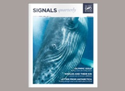 Signals Magazine Issue 106