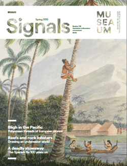 Signals Magazine Issue 128