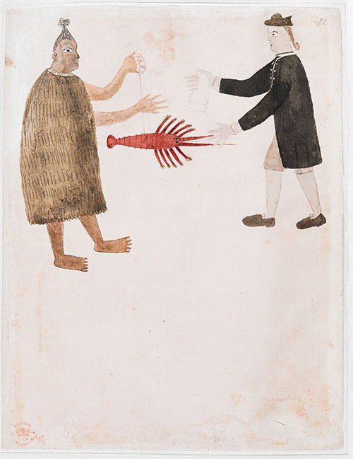 Maori trading a crayfish with Joseph Banks, by Tupaia, 1769.