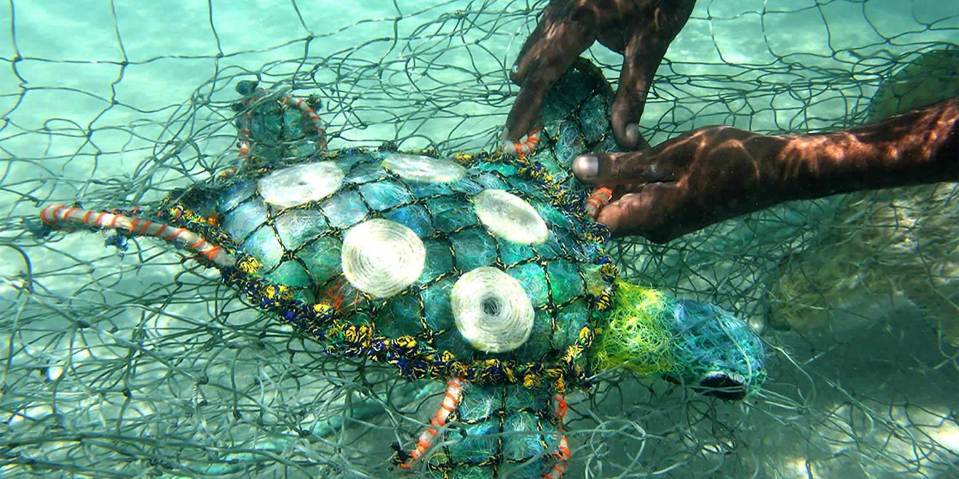 Ghost net turtle in the water of Erub Island. Image: Erub Arts.