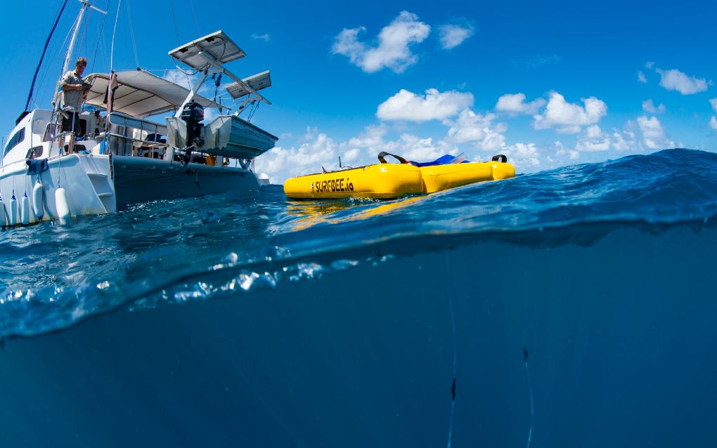 Professor Matt Dunbabin on the Great Barrier Reef with a robotic boat delivering baby coral larvae as part of the Coral IVF program . Photo by Gary Cranitch. Image courtesy of QUT