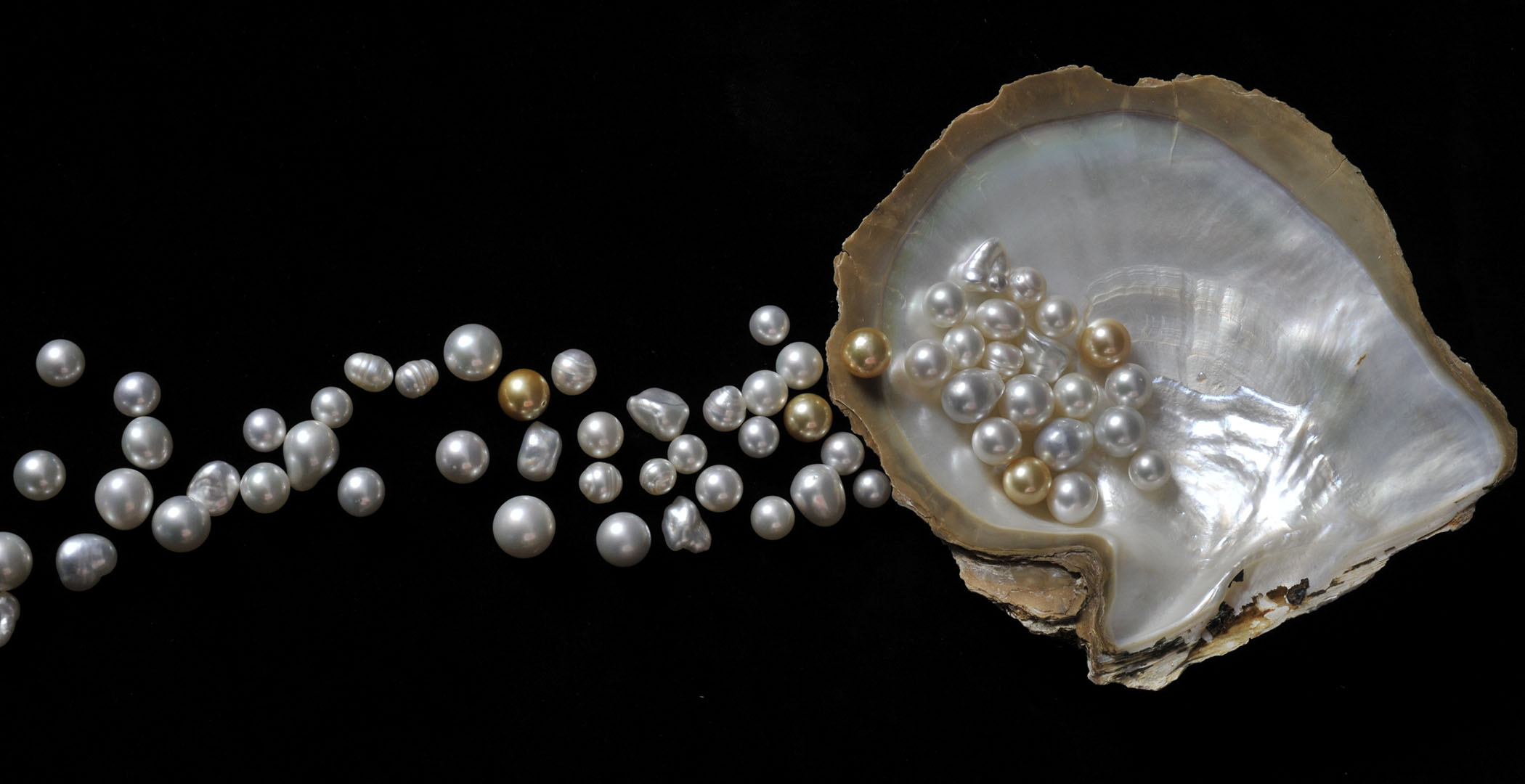 Lustre: Pearling and Australia traces the fascinating heritage of pearling across the north of Australia, from Shark Bay to the Torres Strait Islands.