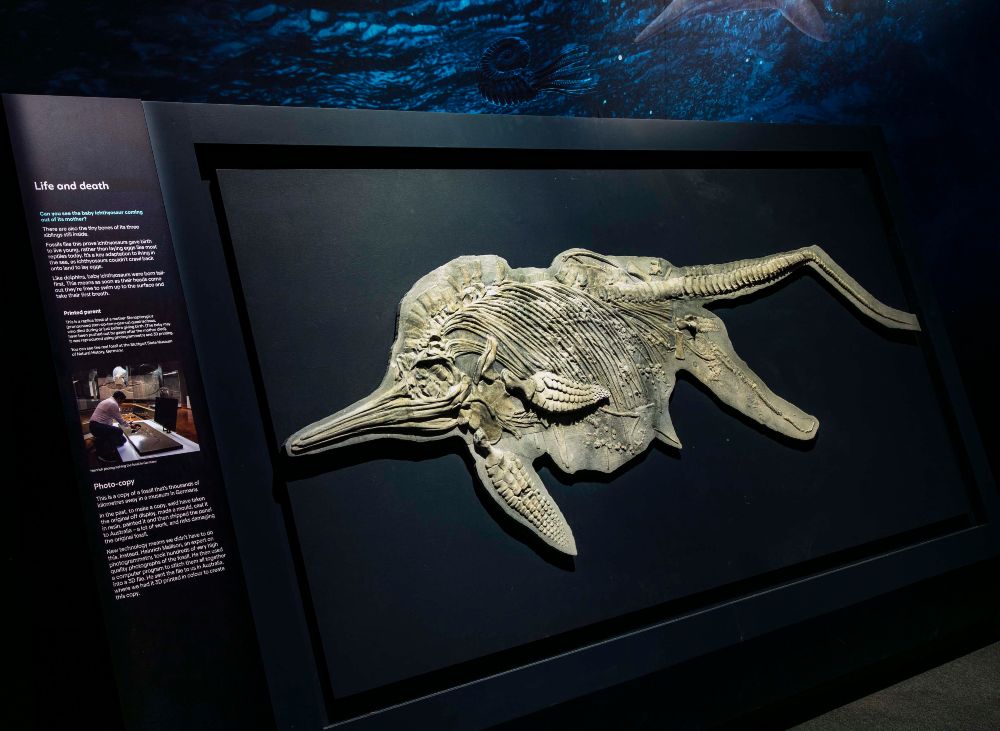 Sea Monsters: Prehistoric Ocean Predators - Australian National Maritime  Museum