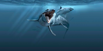 Mosasaurus chasing Great White Shark