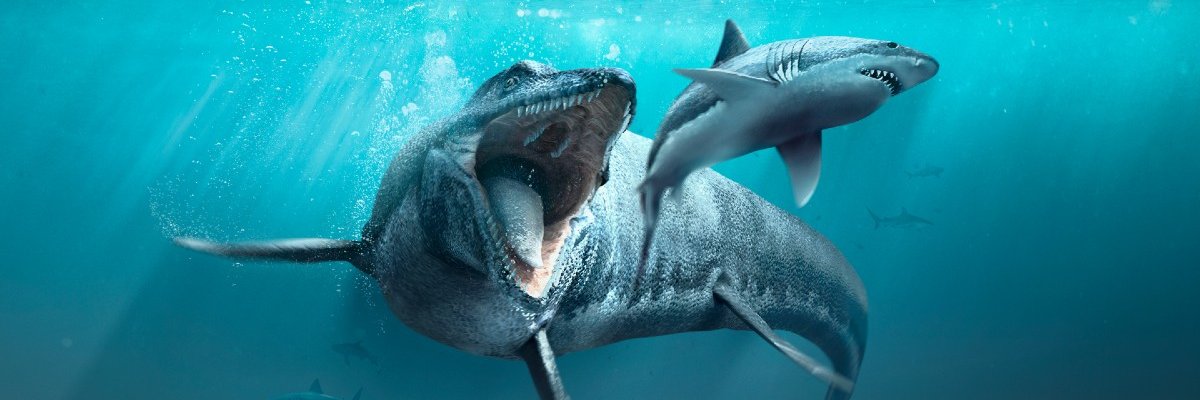 Mosasaurus chasing Great White Shark