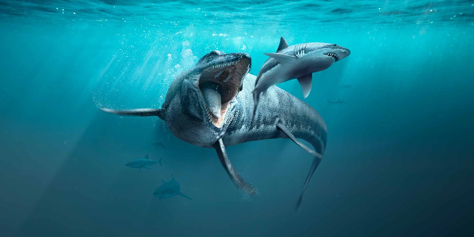 Sea Monsters - Prehistoric Ocean Predators