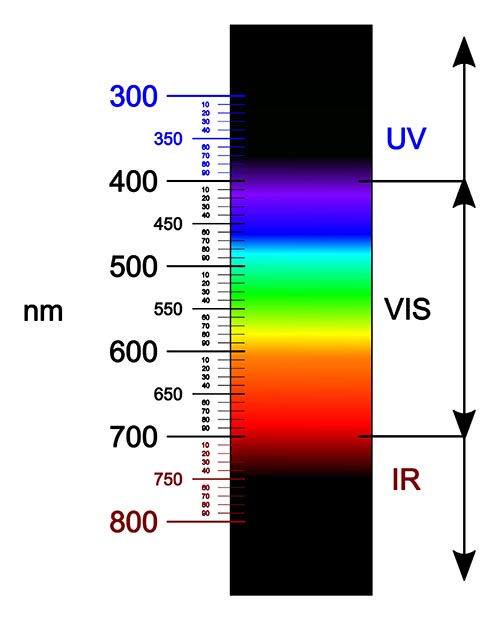 Visible spectrum of light. Image: Fulvio314 via Wikimedia. 